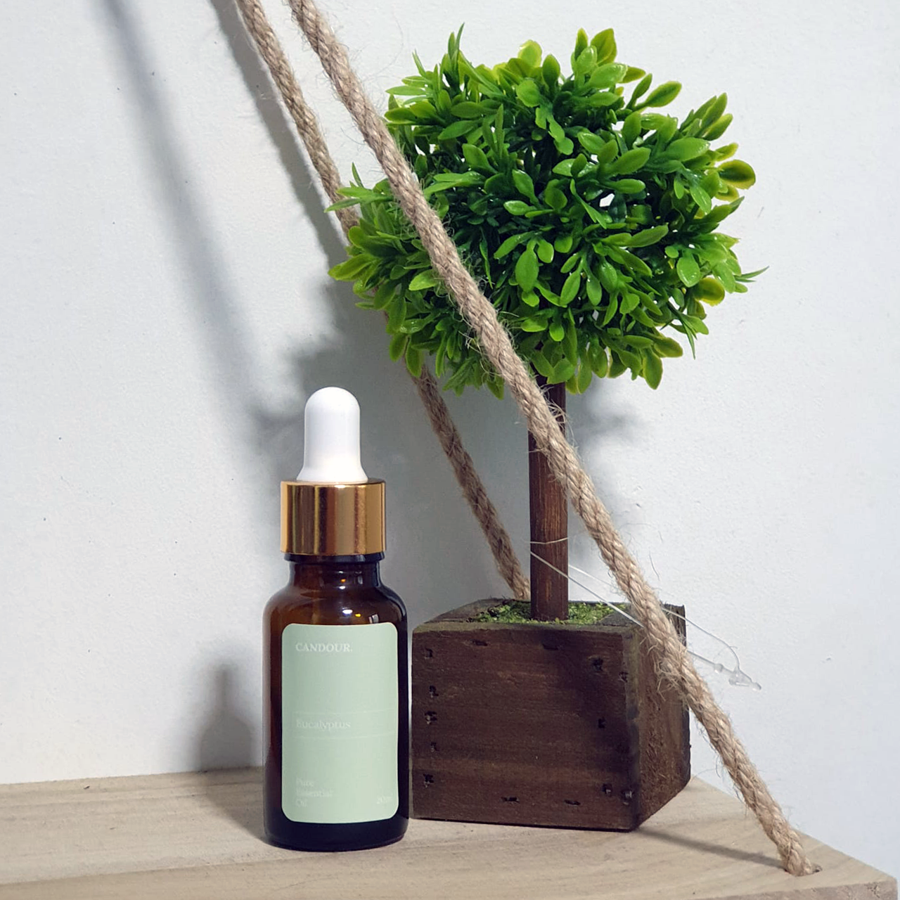 CANDOUR. Bergamot Pure Essential Oil - Wistech Singapore