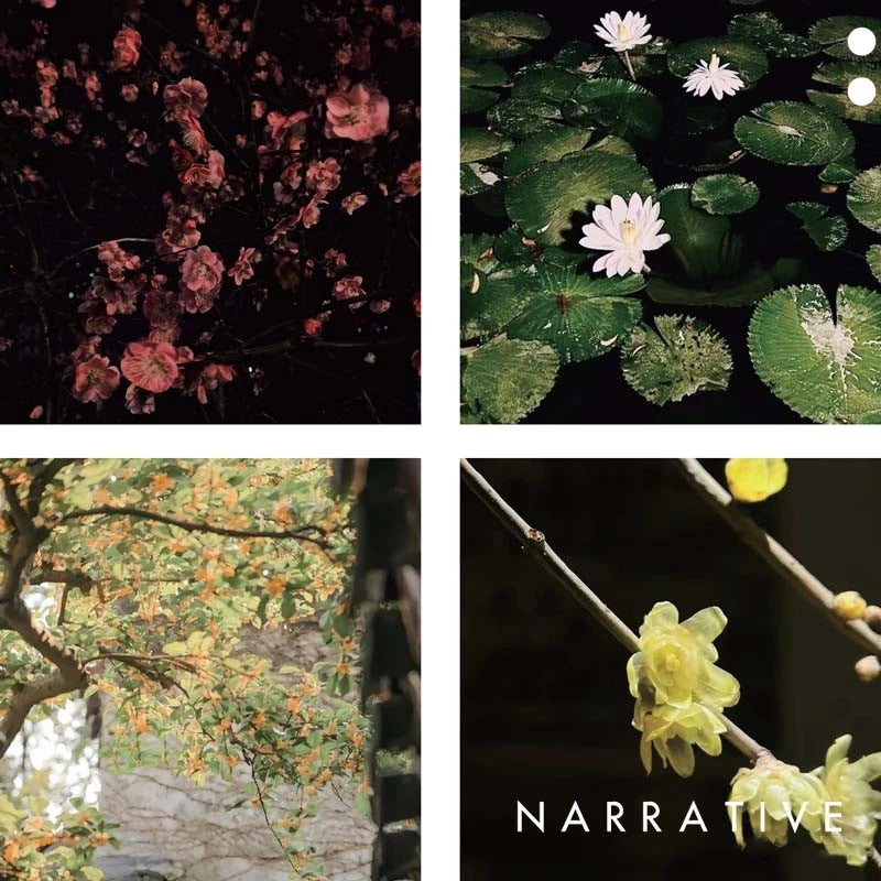 NARRATIVE Pure 100% Essential Oil Fragrance Perfume · 24 Solar Terms Series