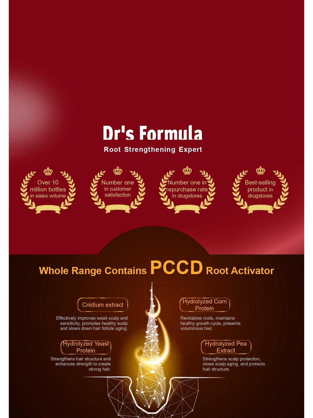 Dr's Formula Anti-Oil & Anti-Dandruff Shampoo 580g