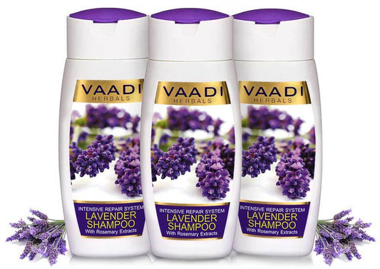 Intensive Repair Organic Lavender Shampoo with Rosemary Extract- Improves Hair Growth Ultra Nourishing (3 x 110 ml/ 4 fl oz)